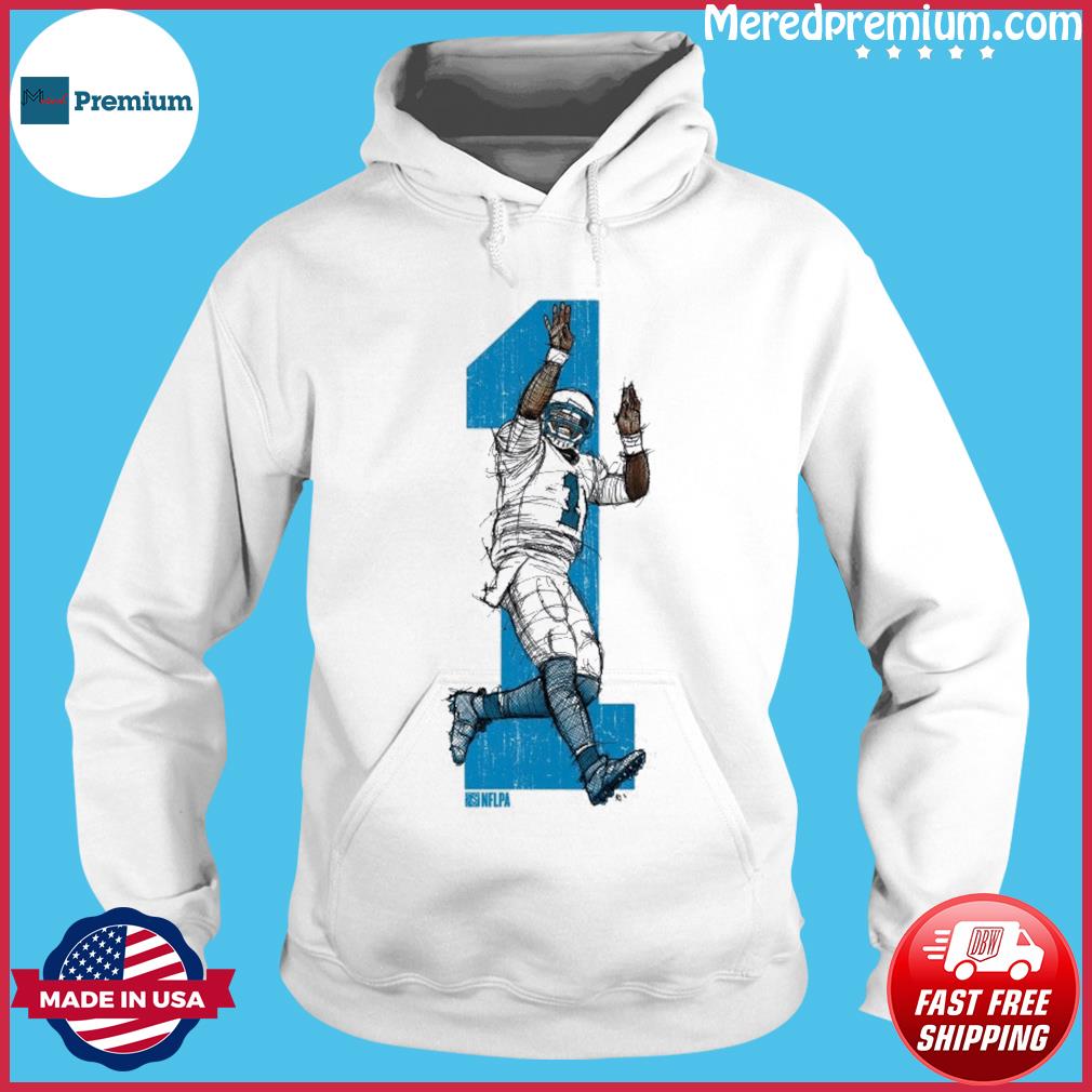 Cam Newton Carolina Panthers Jumper L Shirt, hoodie, sweater, long sleeve  and tank top