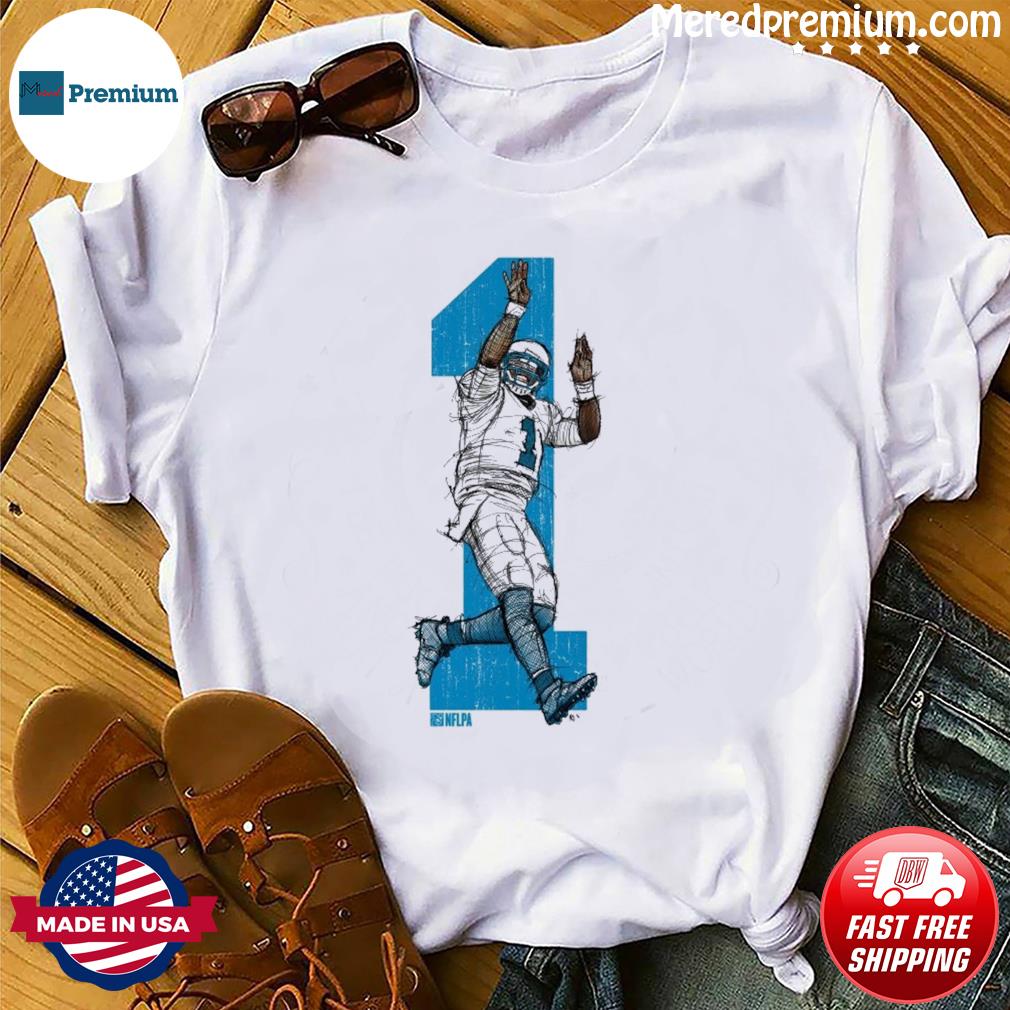 Cam Newton Carolina Panthers Jumper L Shirt, hoodie, sweater, long sleeve  and tank top